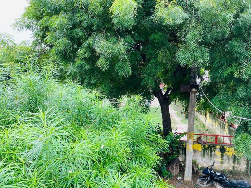 Shree Balaji Homestay Ayodhya Kültér fotó